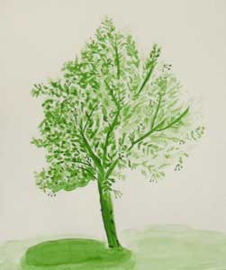 absolute beginner watercolour tree