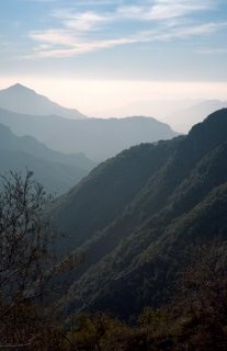 Sequoia Mountain 9031