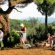 Painting holidays in Sicily