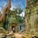 Painting holidays Siem Reap