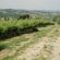 Painting of Tuscany, Italy