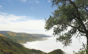 Artist Retreats California
