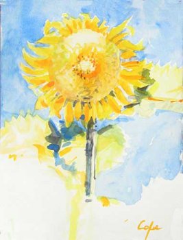 sunflower watercolour