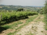 Painting of Tuscany, Italy