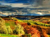 Tuscan landscape Paintings