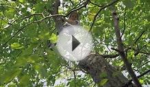 Hudson Valley Sudbury School - Intro Video