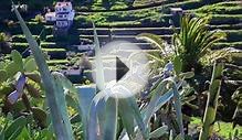 Painting Holiday in La Gomera, Spain