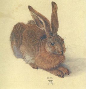Watercolor Study of a Brown Hare, Albrecht Durer
